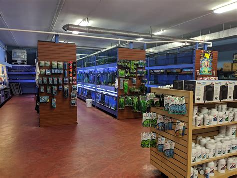 Local fish store - Southern Aquatics Local Fish Store. Book an Appointment Specializing in tanks, freshwater fish, plants, saltwater fish and corals. Location & hours. Sun 12:00 PM - 5:00 PM Mon Closed Tue 11:00 AM - 7:00 PM Wed 11:00 AM - 7:00 PM Thu 11:00 AM - 7:00 PM ...